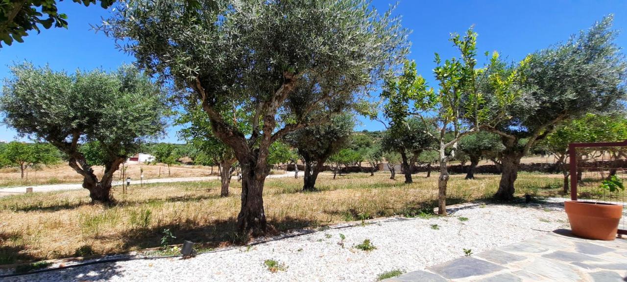 Quinta Da Soneca Apartment Аландроал Екстериор снимка